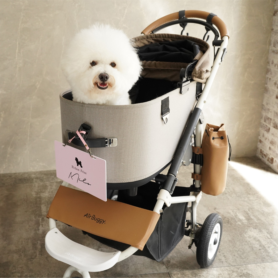 撮影スタジオで撮ったペットカートに乗っている犬とペットグッズ